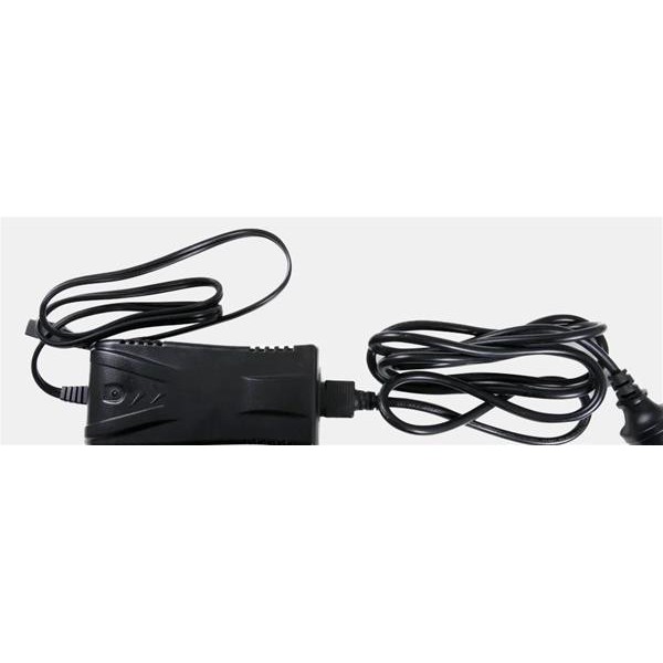 MGI Ai charger/laddare